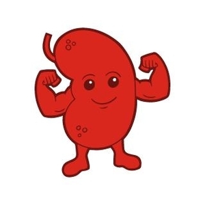 Event Home: One Kidney Climb Kilimanjaro 2026